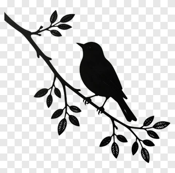 Silhouette Bird On A Branch PNG