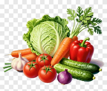 Fresh Vegetables Including Cabbage, Carrots, And Tomatoes PNG