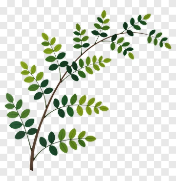Green Leafy Branch PNG