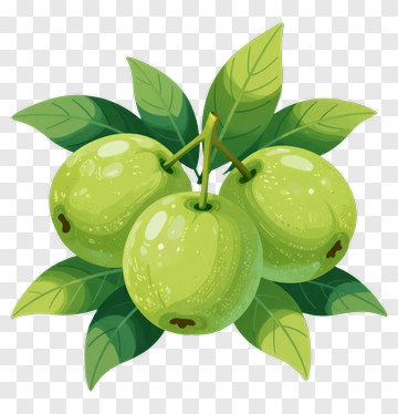 Green Olive Cluster With Leaves PNG