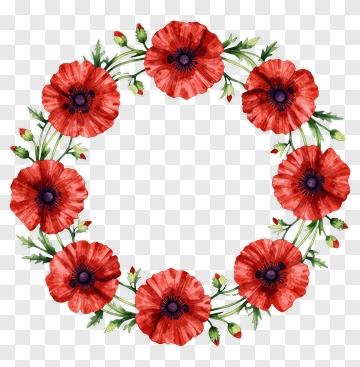 Watercolor Red Poppy Flower Wreath PNG