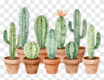 Watercolor Cactus Arrangement In Pots PNG