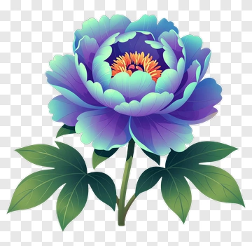 Colorful Peony Flower PNG