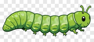 Cartoon Caterpillar PNG