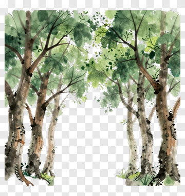 Watercolor Forest Scene With Lush Green Trees PNG