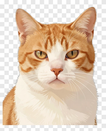 Orange Cat Portrait PNG