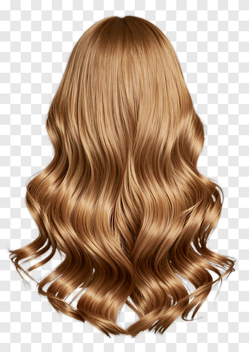 Long Wavy Brown Hair PNG
