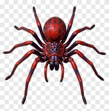 Realistic Red Spider PNG
