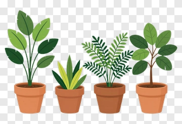 Collection Of Potted Plants PNG