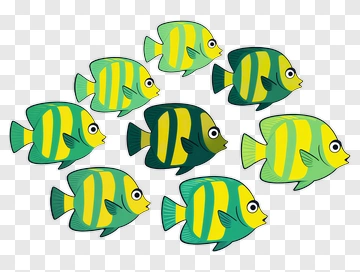 Colorful Cartoon Fish Swimming Together PNG