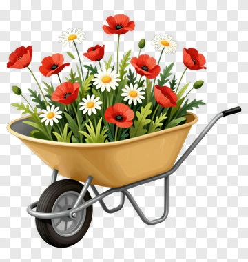Flowering Wheelbarrow With Poppies And Daisies PNG