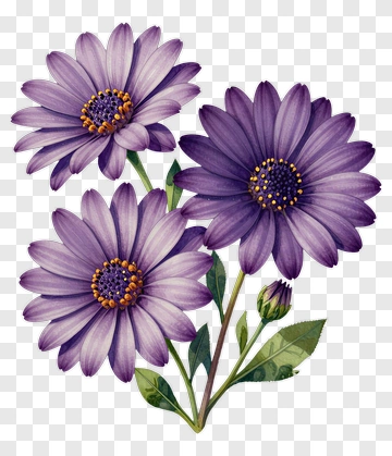 Purple Flower Bouquet PNG