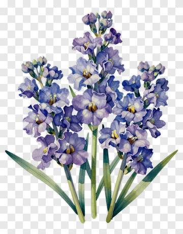 Watercolor Purple Flower Bouquet PNG