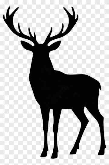 Silhouette Deer With Antlers PNG