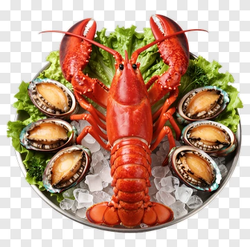 Lobster With Abalone On Ice PNG