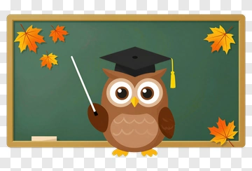 Cartoon Owl With Graduation Cap And Pointer PNG