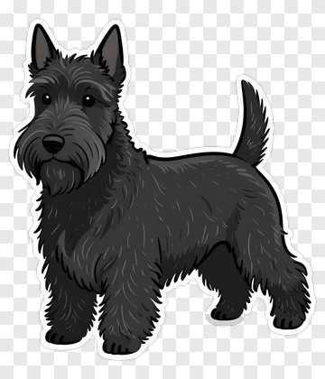 Cartoon Scottish Terrier Dog PNG