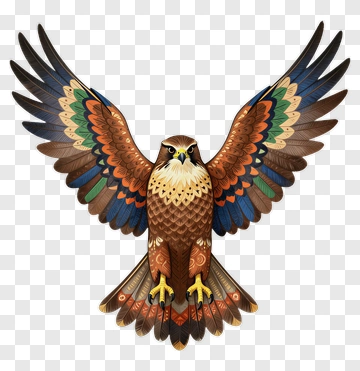 Colorful Hawk With Outstretched Wings PNG