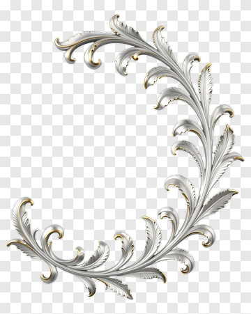 Elegant Silver Floral Frame PNG