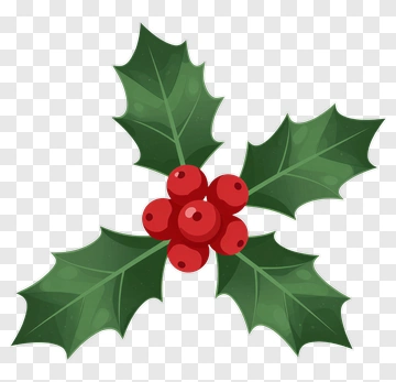 Holly Leaves With Red Berries PNG