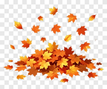 Colorful Pile Of Autumn Leaves PNG