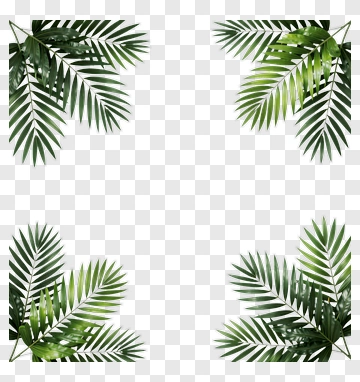 Green Palm Leaves Frame PNG