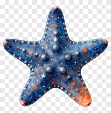 Colorful Starfish With Cosmic Design PNG