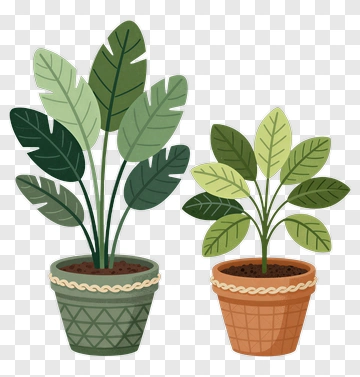 Potted Plants With Green Leaves PNG