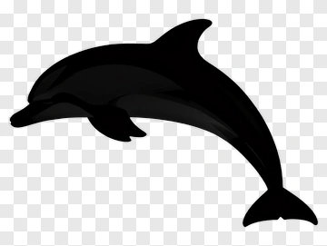 Black Dolphin PNG