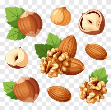 Collection Of Nuts With Leaves PNG