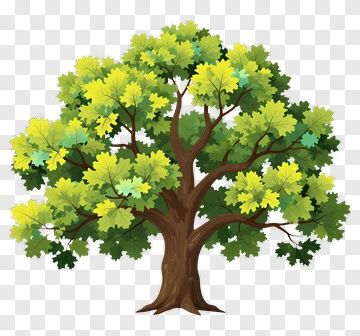 Colorful Tree PNG