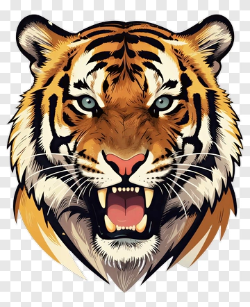 Angry Tiger Head Illustration PNG