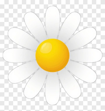 Cartoon Daisy Flower With Yellow Center PNG