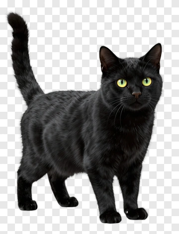 Black Cat With Green Eyes PNG
