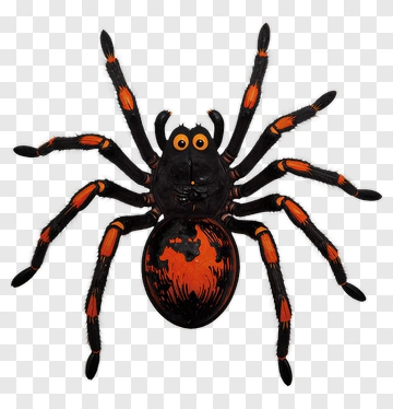 Cartoon Spider With Orange Highlights PNG