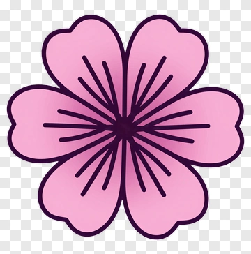 Pink Flower With Stylized Petals PNG