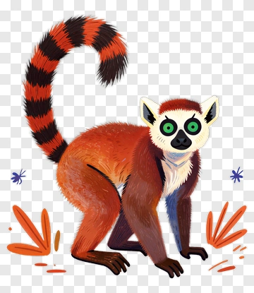 Cartoon Lemur With Colorful Tail PNG