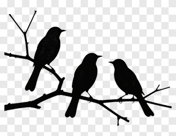 Silhouette Of Three Birds On A Branch PNG