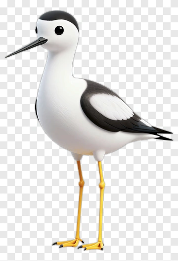 Cartoon Black-Winged Stilt Bird PNG