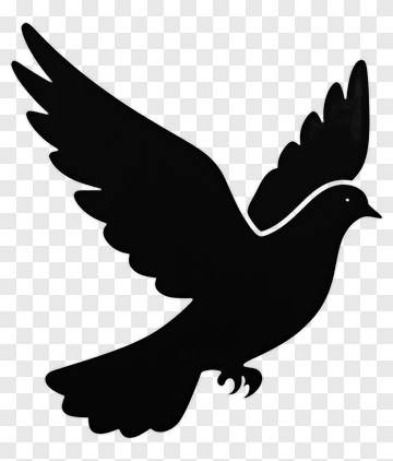 Black Bird In Flight PNG