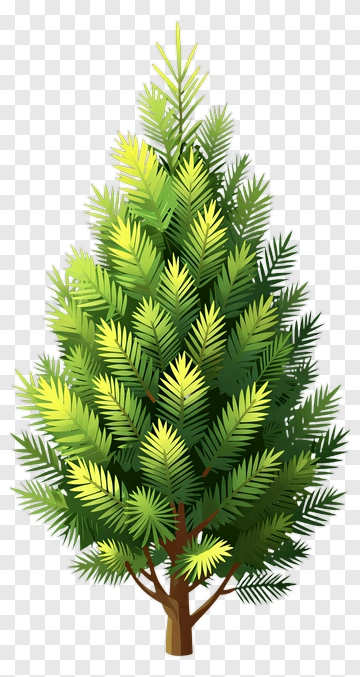 Colorful Pine Tree PNG
