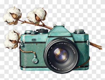 Vintage Camera With Cotton Branch PNG