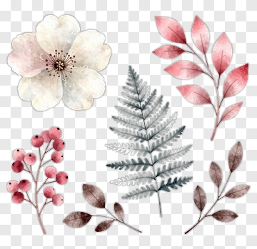 Watercolor Floral Arrangement With Leaves And Berries PNG