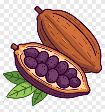 Cocoa Pod With Seeds PNG