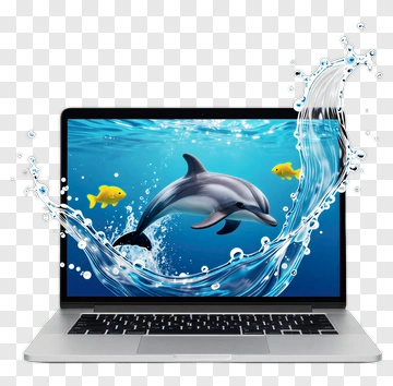 Dolphin Swimming In A Laptop Display PNG