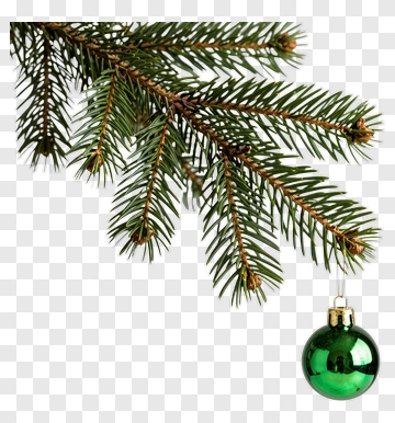 Christmas Tree Branch With Green Ornament PNG