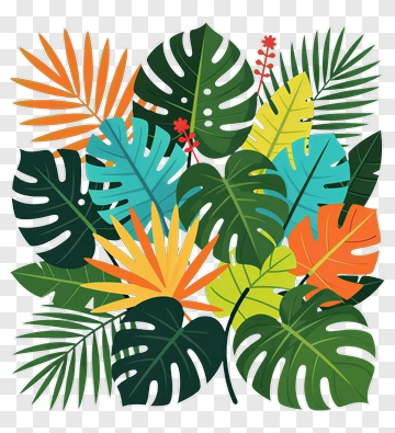 Colorful Tropical Leaves Arrangement PNG