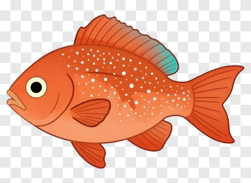 Cartoon Goldfish PNG