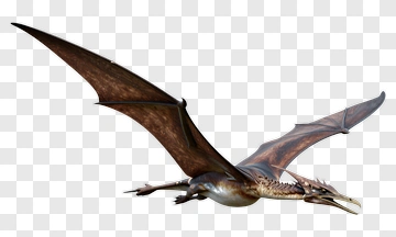 Dragon Flying PNG