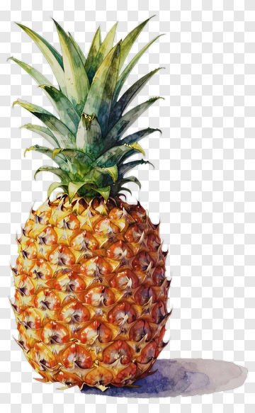 Watercolor Pineapple PNG